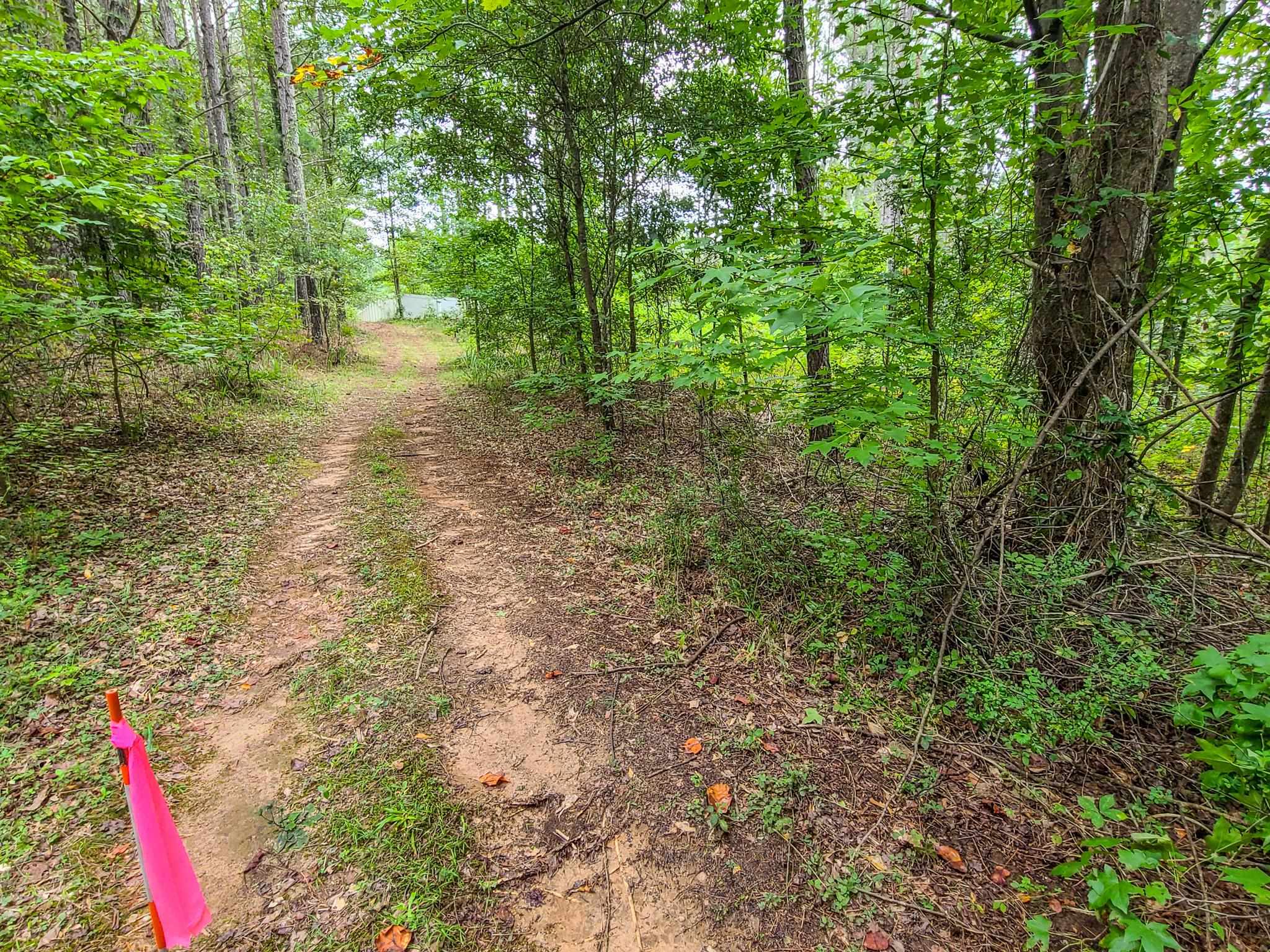 0 Dunklin Bridge Road Fountain Inn, SC 29644 - Photo 9 of 50