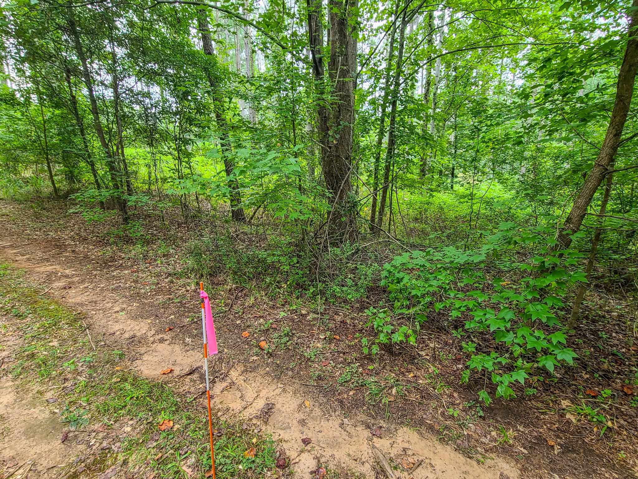0 Dunklin Bridge Road Fountain Inn, SC 29644 - Photo 10 of 50