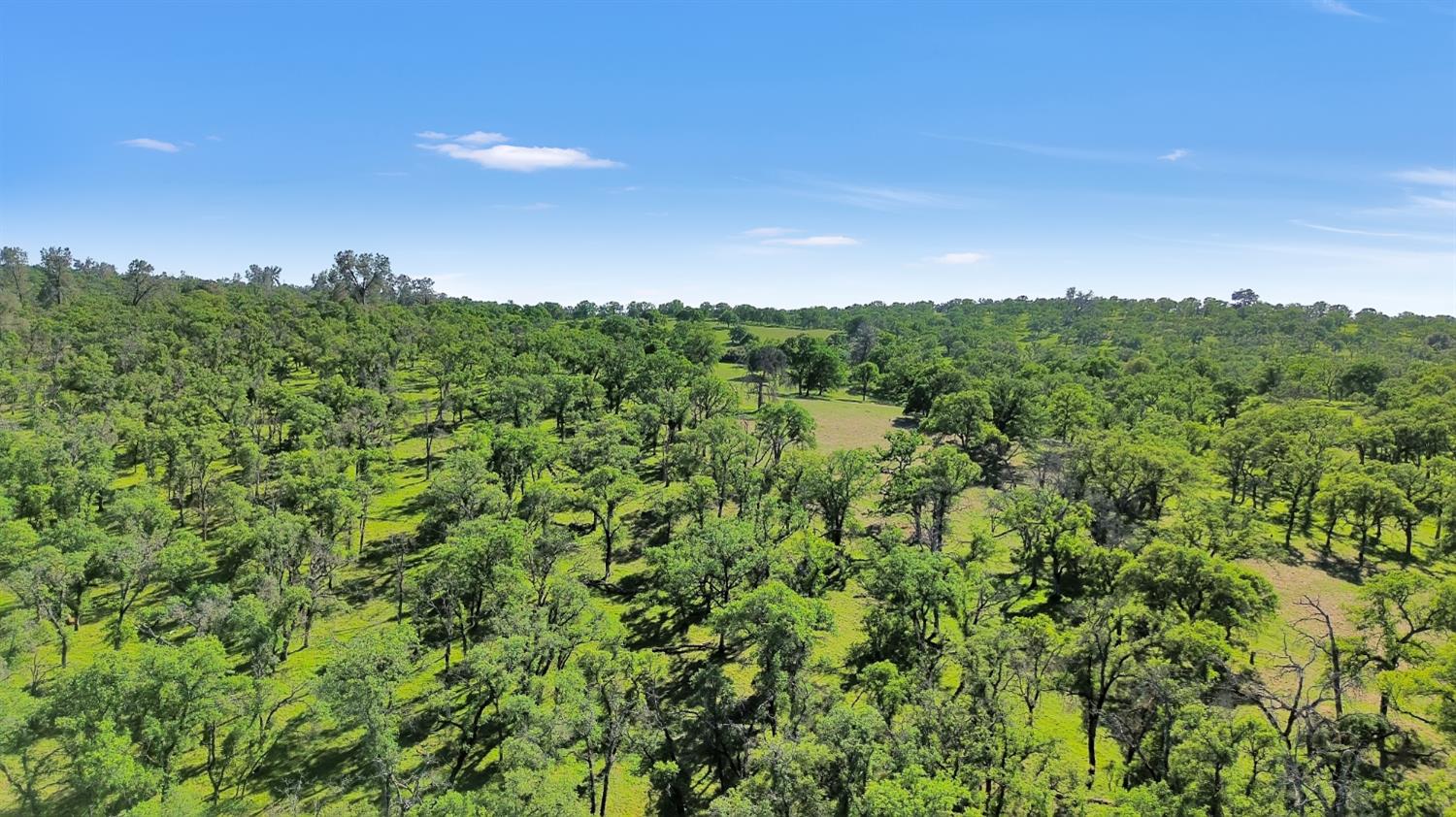 0 McCourtney Road Wheatland, CA 95692 - Photo 9 of 15