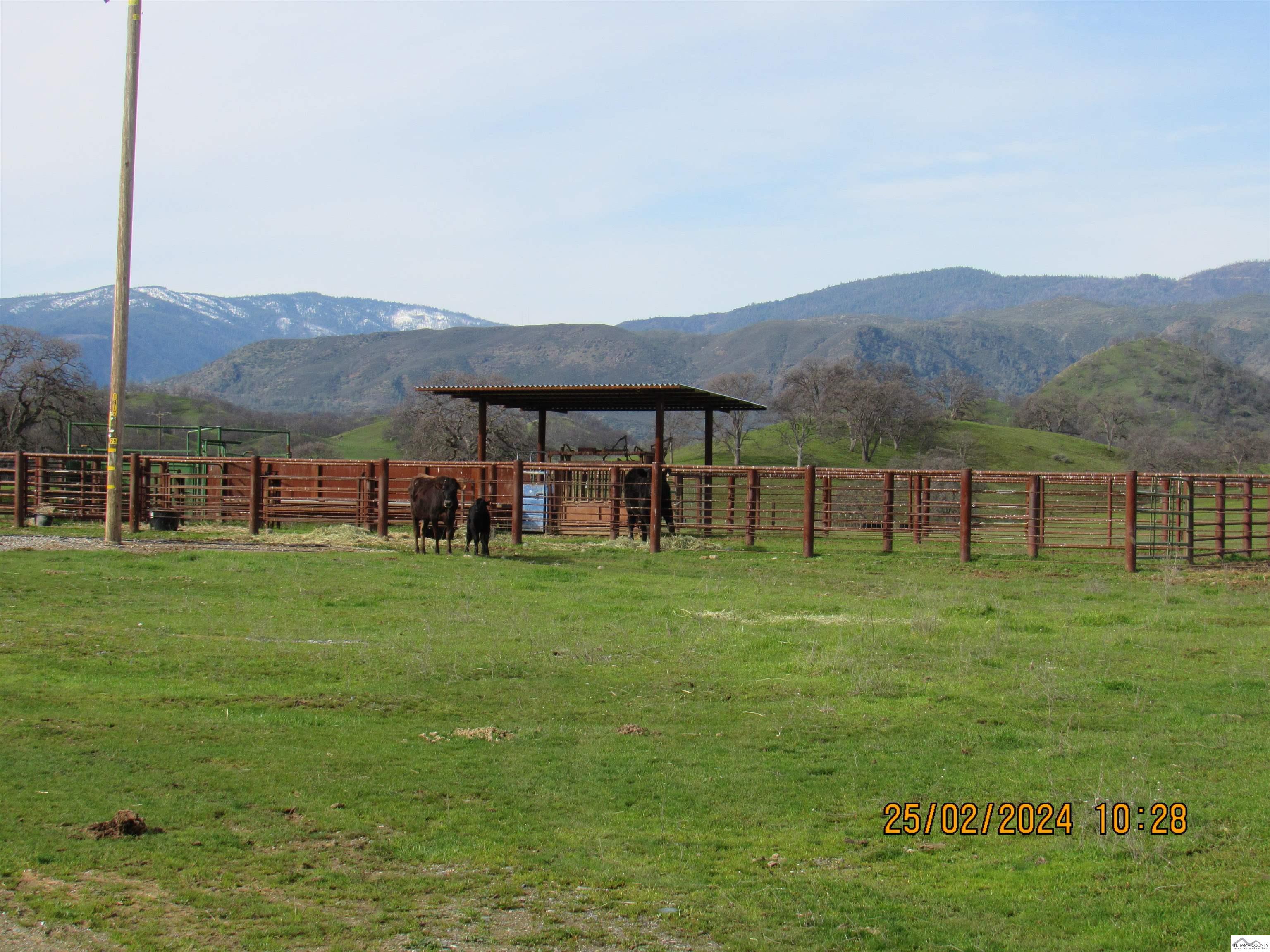 12755 Mccarty Creek Road Red Bluff, CA 96074 - Photo 21 of 28