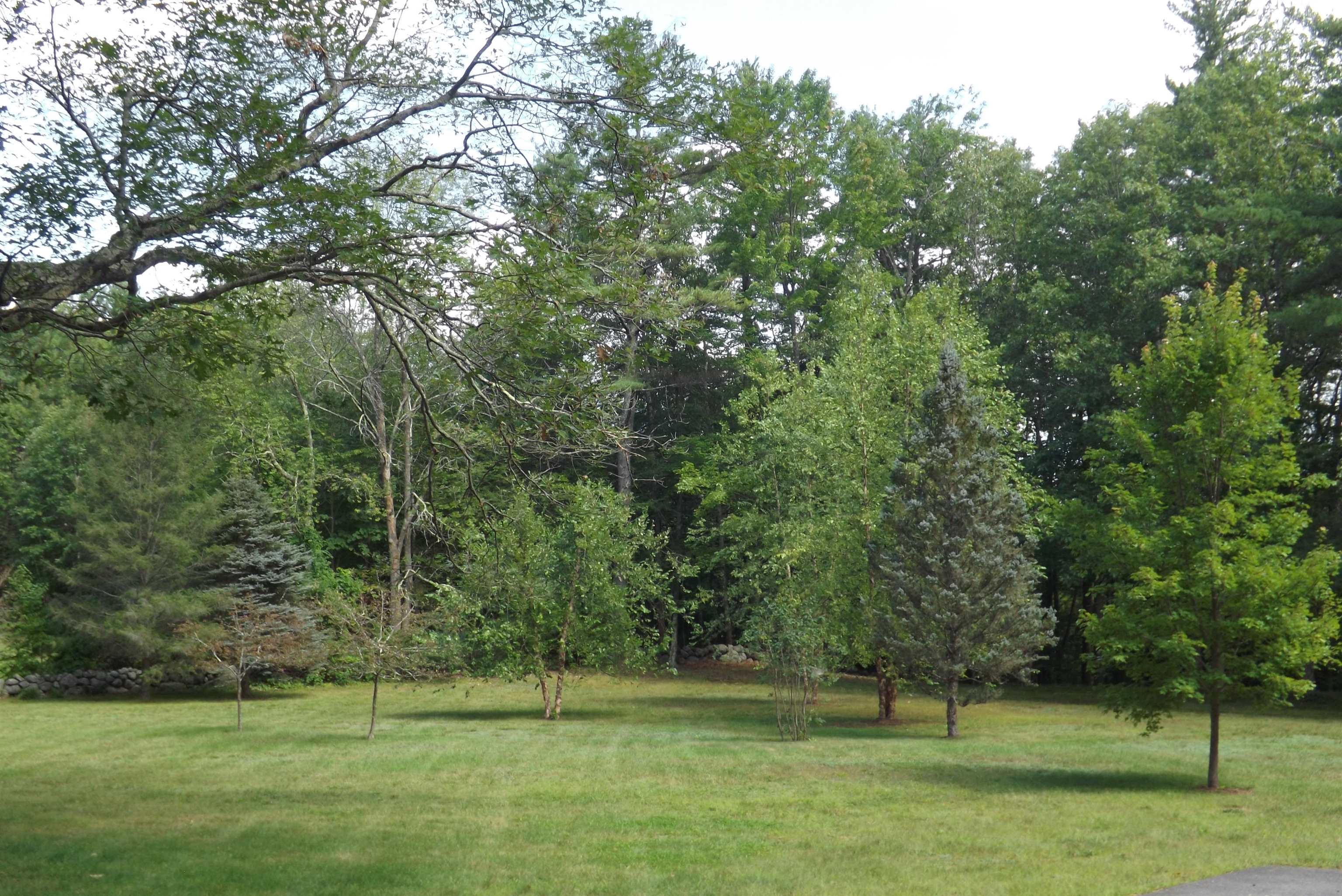 163 Patch Road Henniker, NH 03242 - Photo 6 of 29 Gallery Image 6