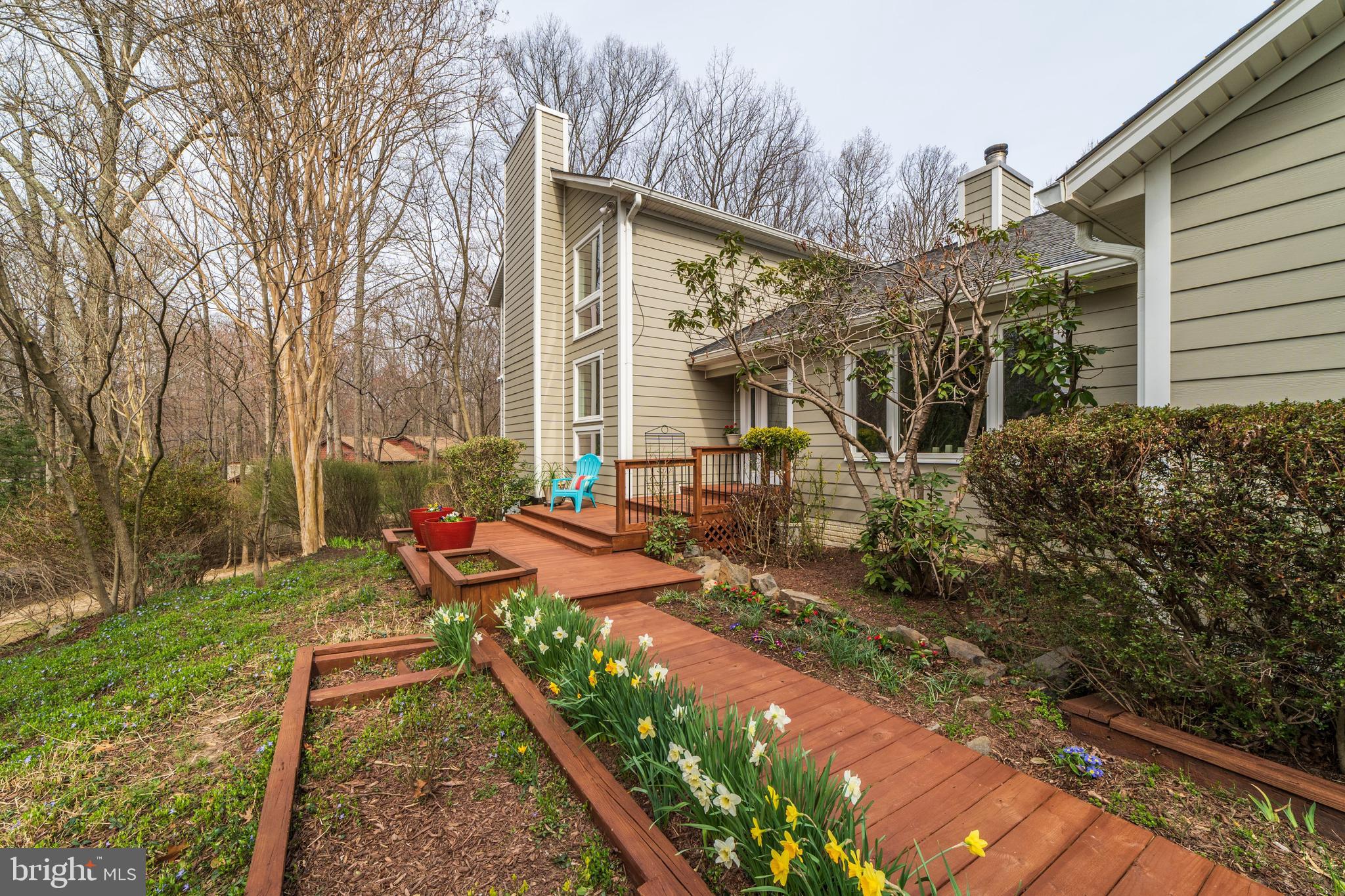 11108 Farm Road Great Falls, VA 22066 - Photo 2 of 58 Front walk framed by daffodils, crocus, primrose