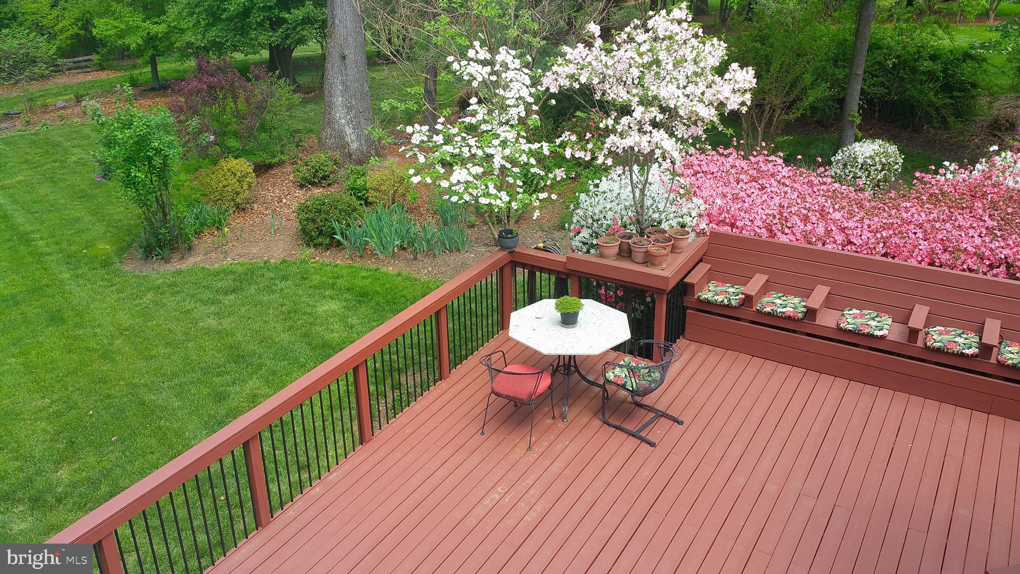 11108 Farm Road Great Falls, VA 22066 - Photo 19 of 58 expansive decks all around the home