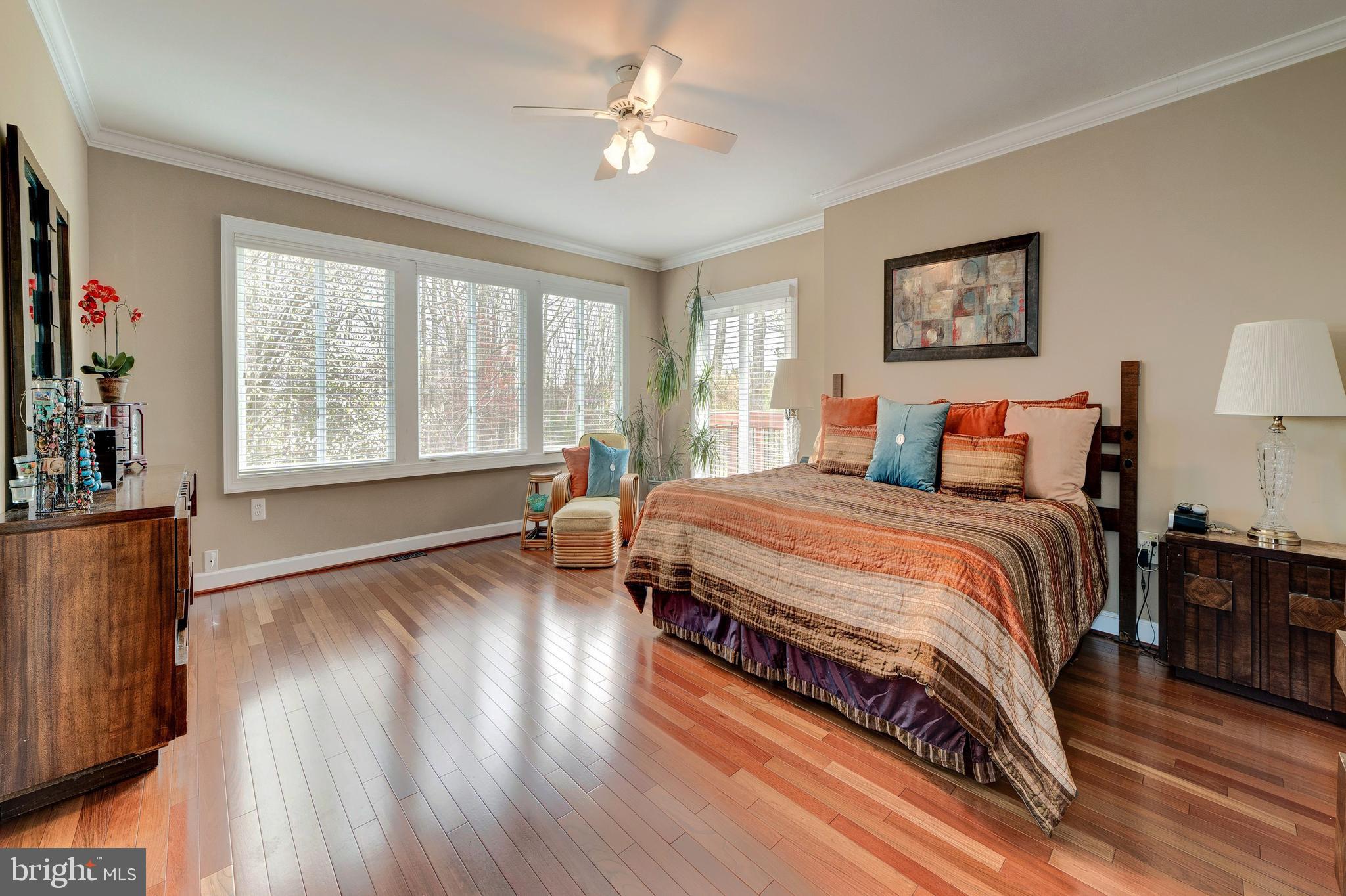 11108 Farm Road Great Falls, VA 22066 - Photo 28 of 58 Master BR on its own private floor