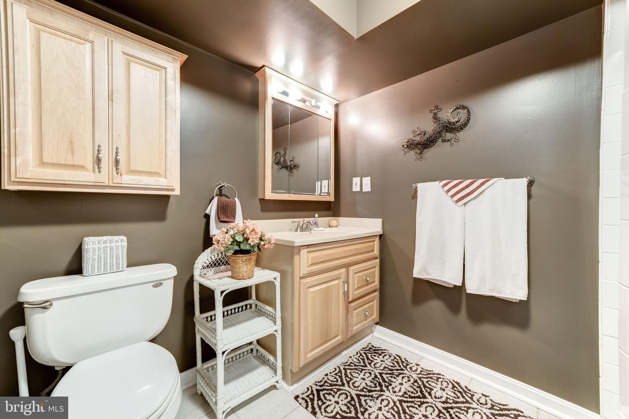 11108 Farm Road Great Falls, VA 22066 - Photo 39 of 58 LL Bathroom off of Bedroom 4