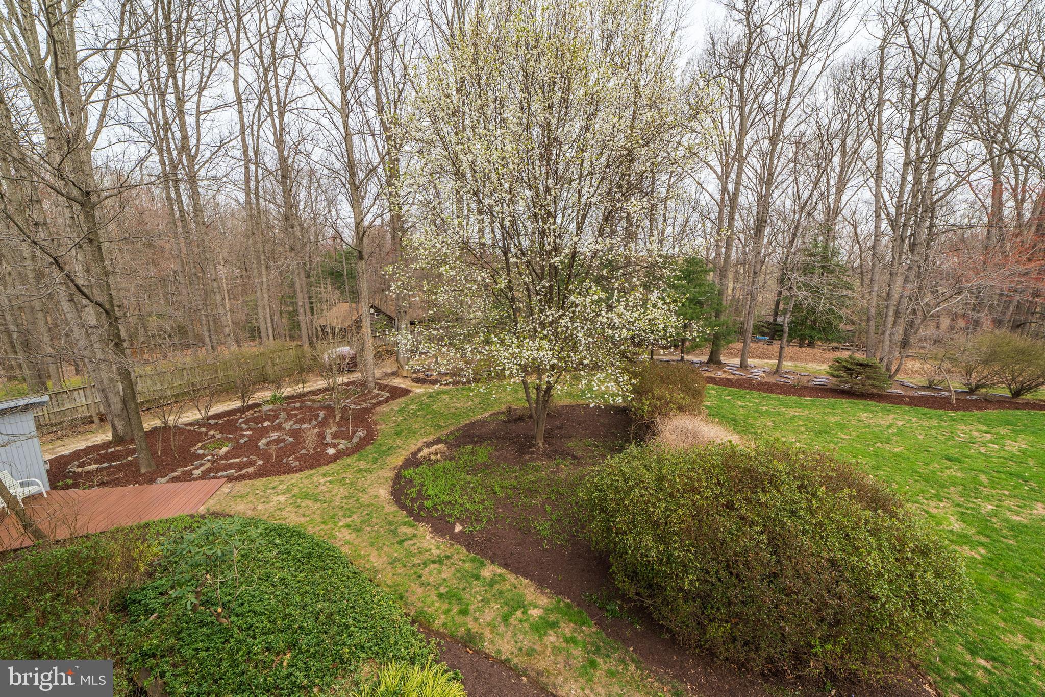 11108 Farm Road Great Falls, VA 22066 - Photo 47 of 58 landscaping will just get more colorful in Spring