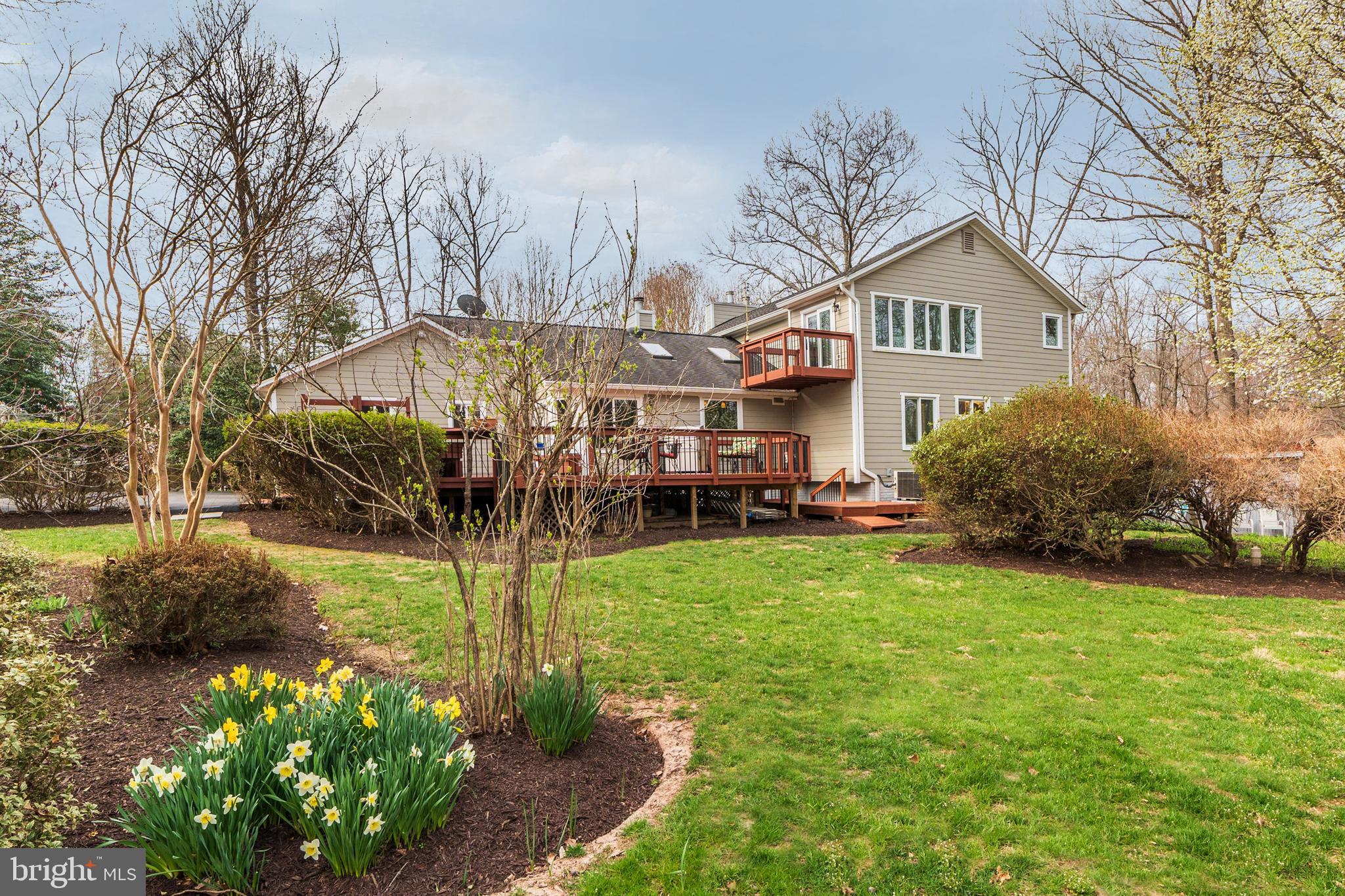 11108 Farm Road Great Falls, VA 22066 - Photo 50 of 58 View from the back yard