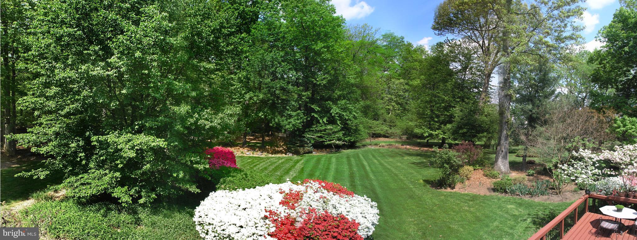 11108 Farm Road Great Falls, VA 22066 - Photo 56 of 58 You's enjoy the view!