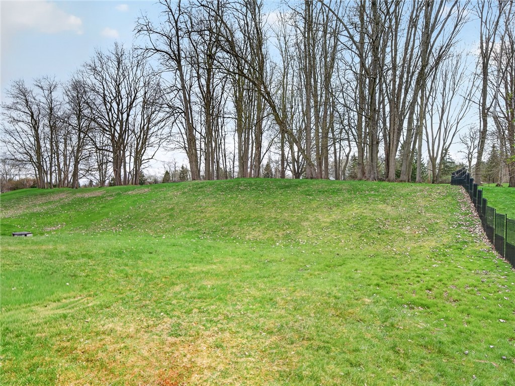 718 Rookery Way Walworth, NY 14502 - Photo 41 of 43