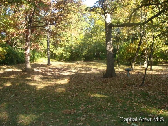 287 Hart School Road Murrayville, IL 62668 - Photo 3 of 22
