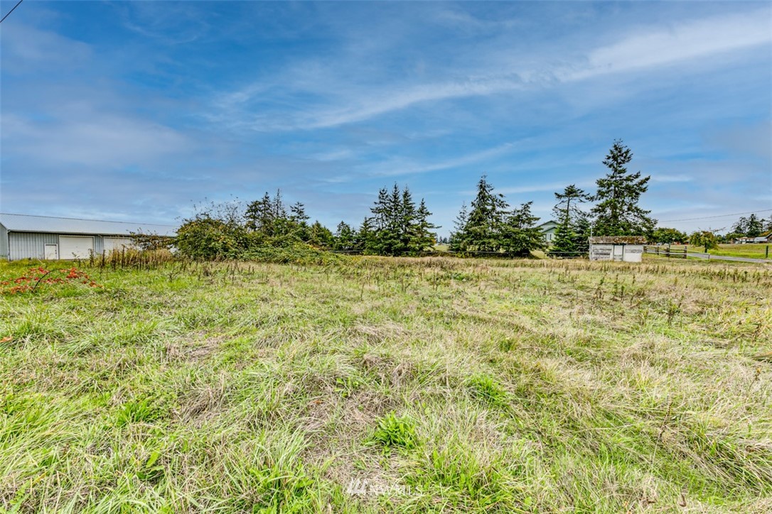 11 Brueckner Road Sequim, WA 98382 - Photo 2 of 23 a view of a big yard with plants and a large tree in the background