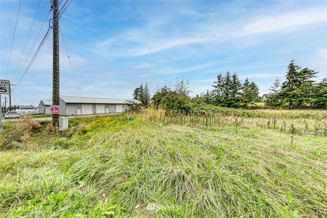 11 Brueckner Road Sequim, WA 98382 - Photo 11 of 23 a view of a garden with a tree in the background