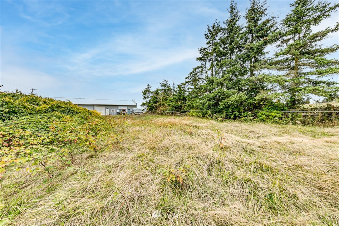 11 Brueckner Road Sequim, WA 98382 - Photo 3 of 23 a view of a yard with an outdoor space