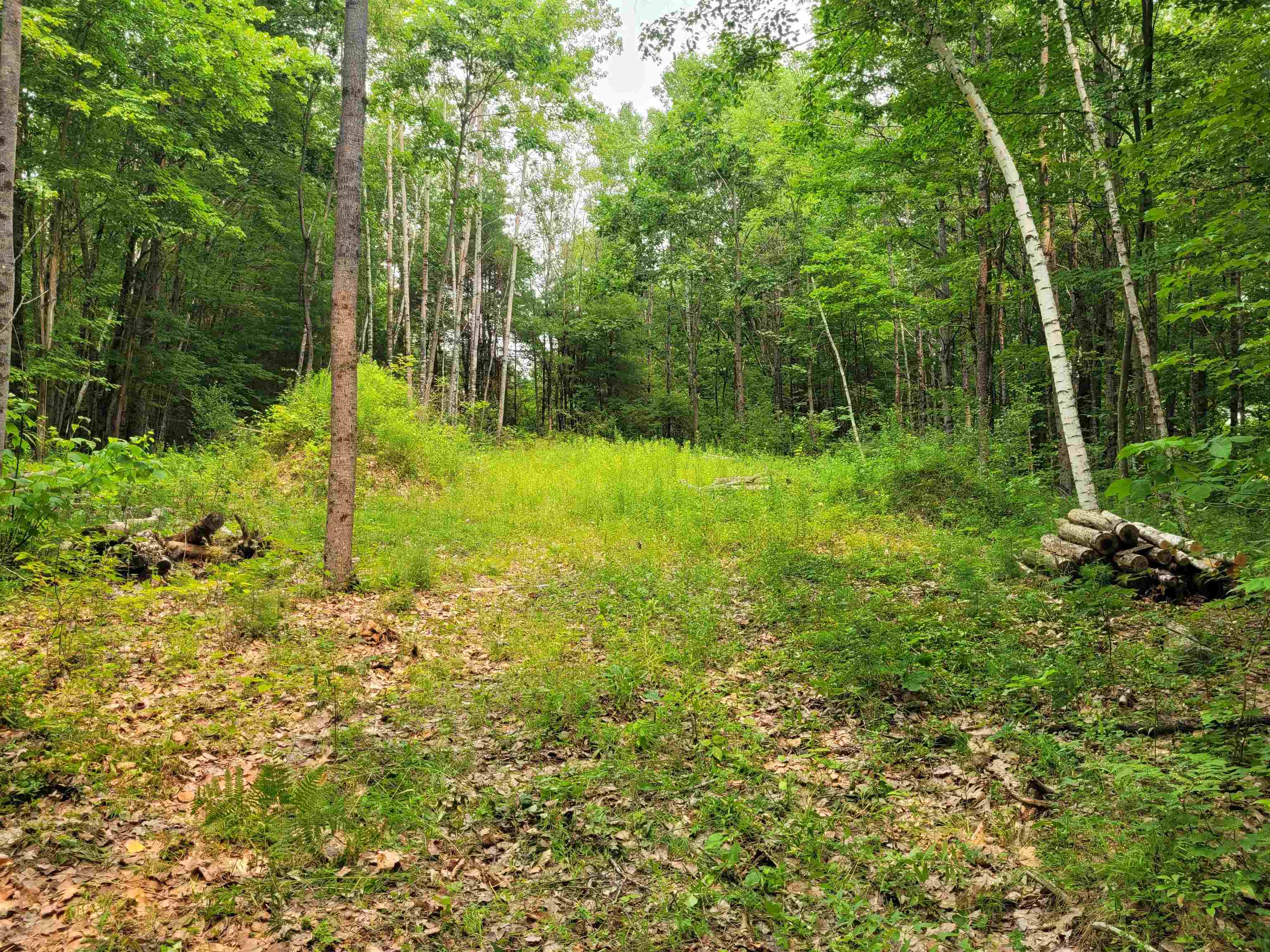54 Fullam Pond Road Winchester, NH 03470 - Photo 1 of 6
