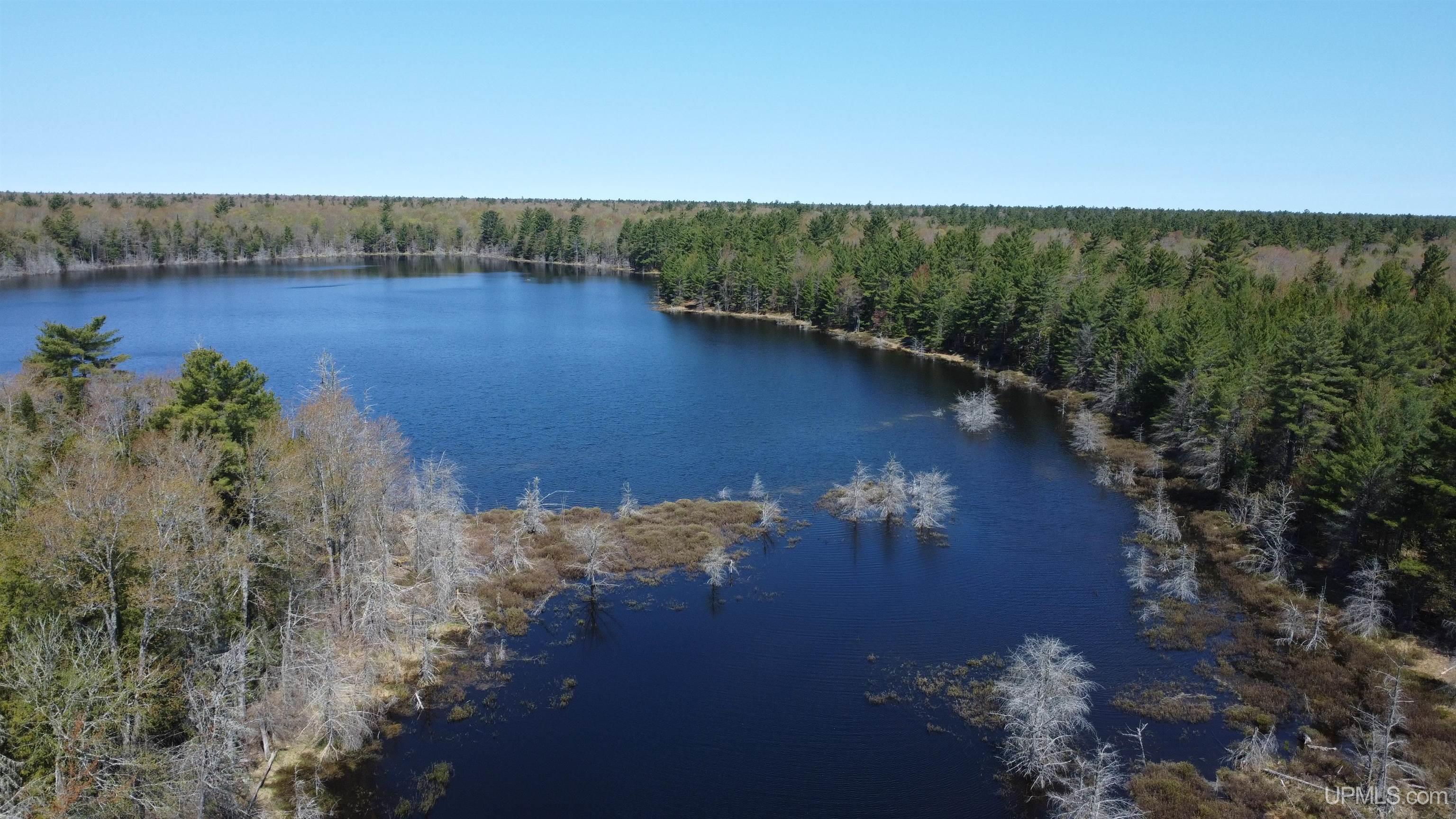Off Adams Trail Shingleton, MI 49884 - Photo 8 of 46
