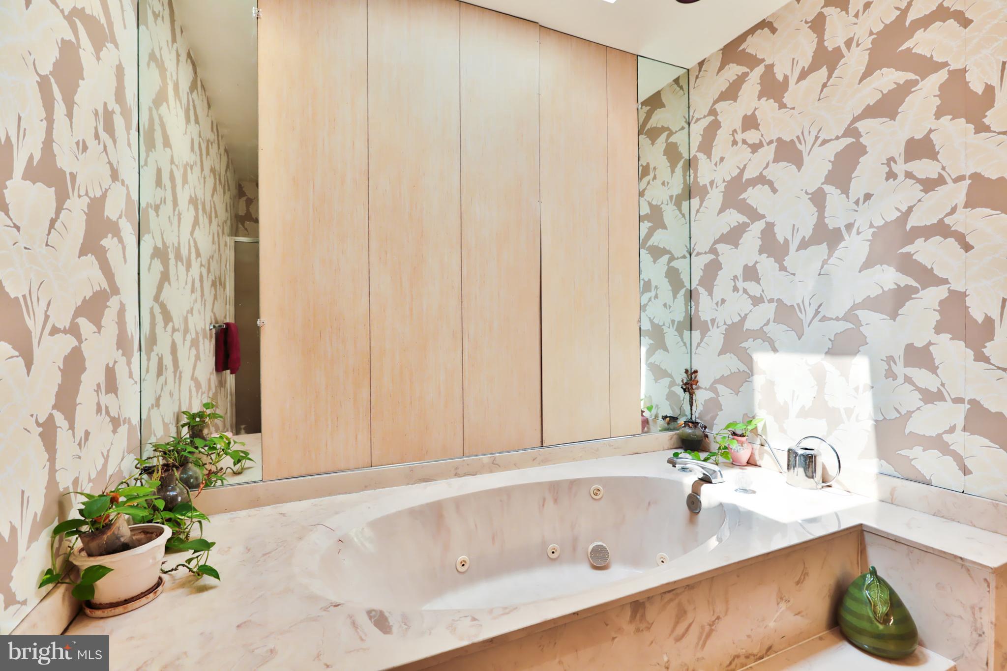 3021 Fallstaff Road, Unit 605B Baltimore, MD 21209 - Photo 15 of 22 Raised jetted soaking tub