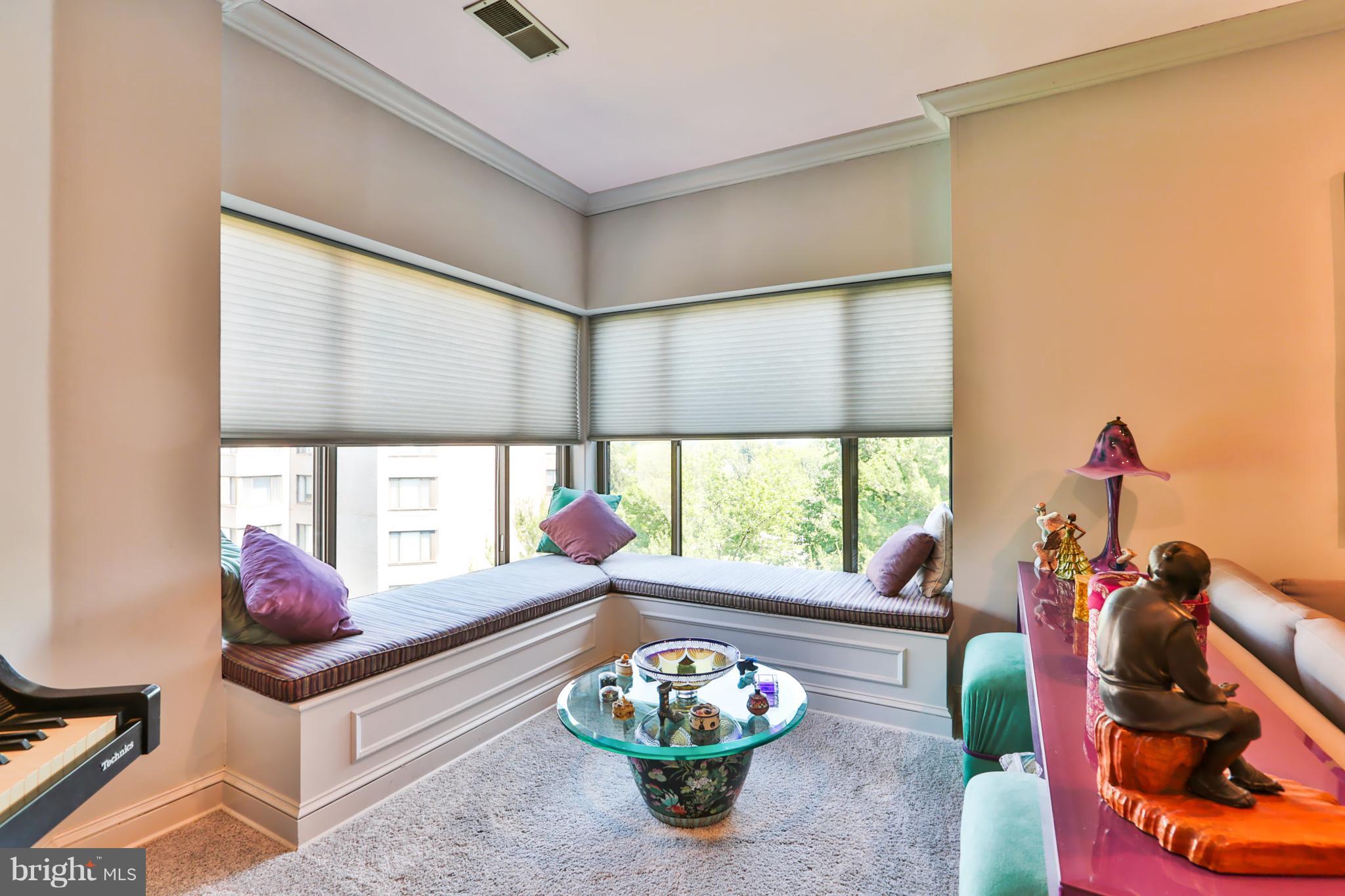3021 Fallstaff Road, Unit 605B Baltimore, MD 21209 - Photo 4 of 22 Relaxing window seat for reading