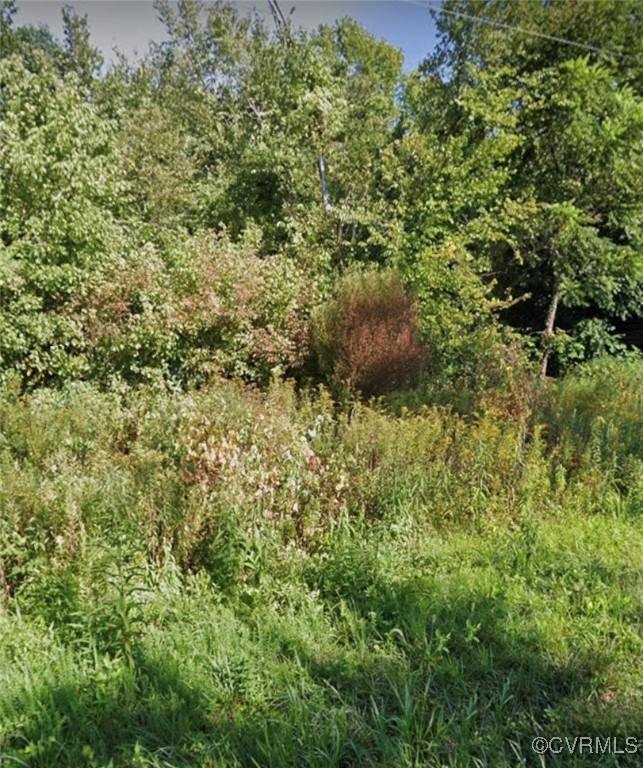 0 River Road Farmville, VA 23901 - Photo 3 of 4 a view of a house with a tree