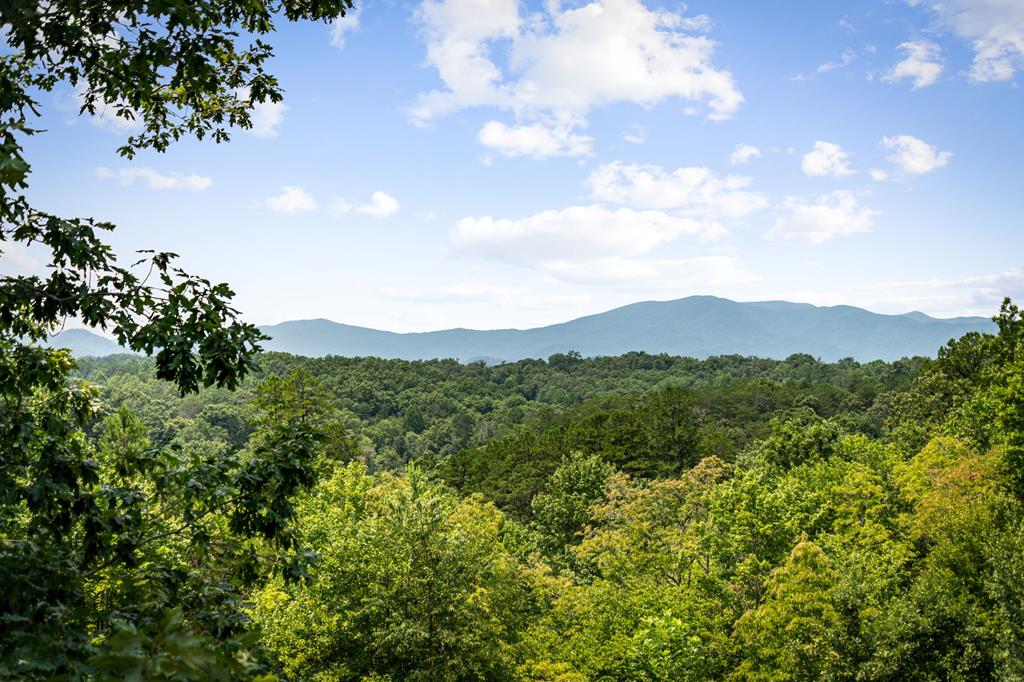 185 Austin Mountain Road Copperhill, TN 37317 - Photo 13 of 46