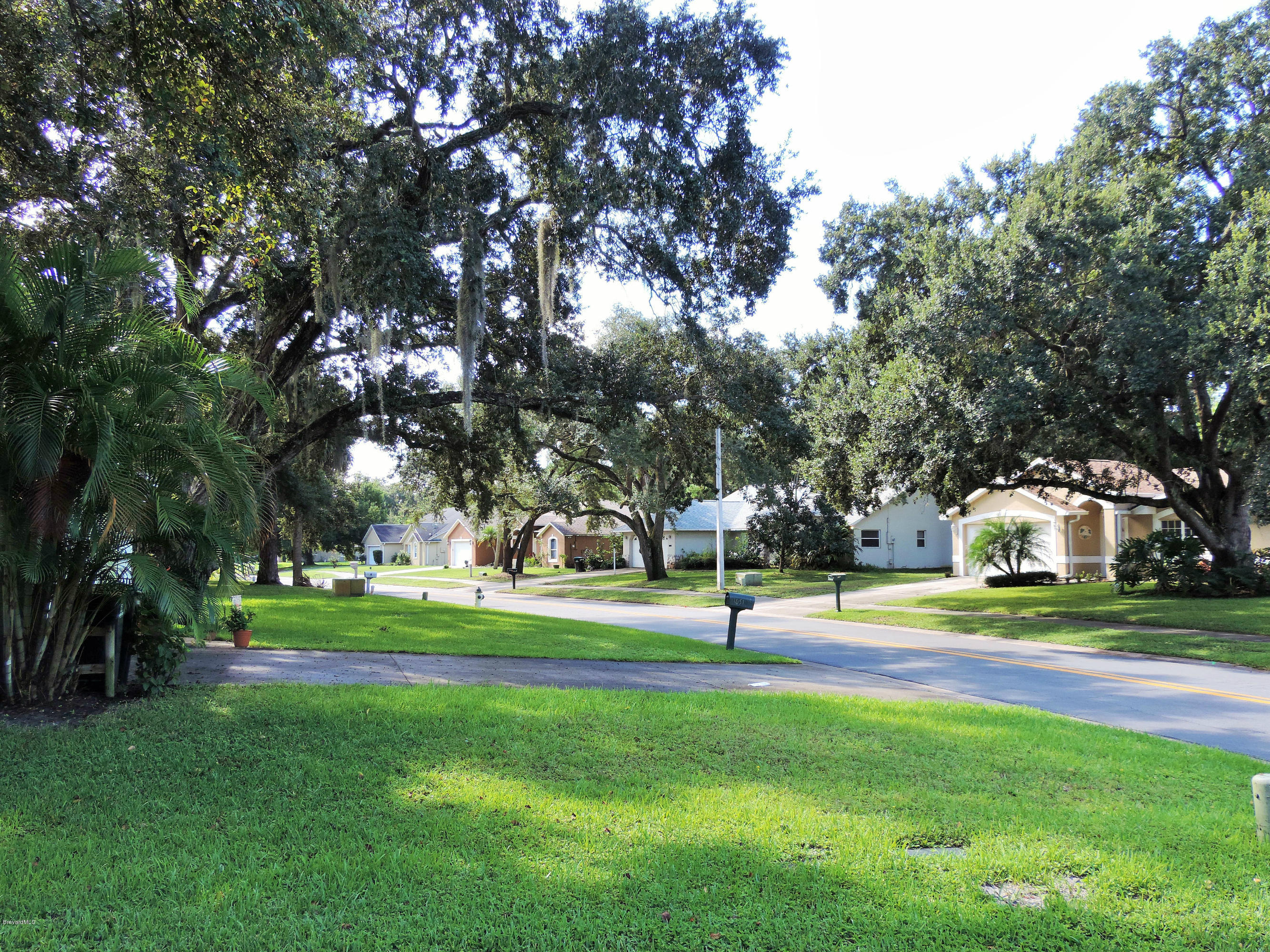 1031 Meadowbrook Road Northeast Palm Bay, FL 32905 - Photo 2 of 41 DSCN3478