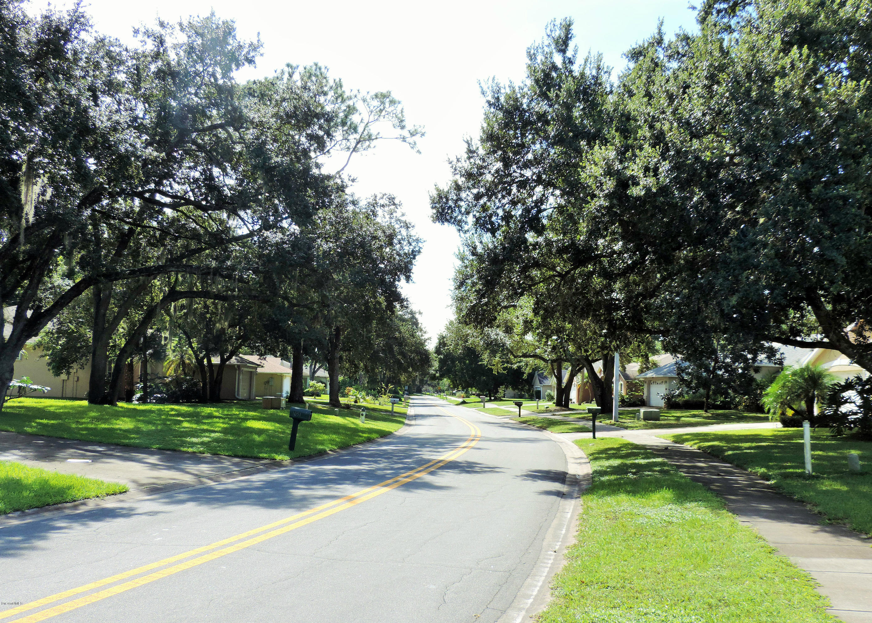 1031 Meadowbrook Road Northeast Palm Bay, FL 32905 - Photo 41 of 41 DSCN3481