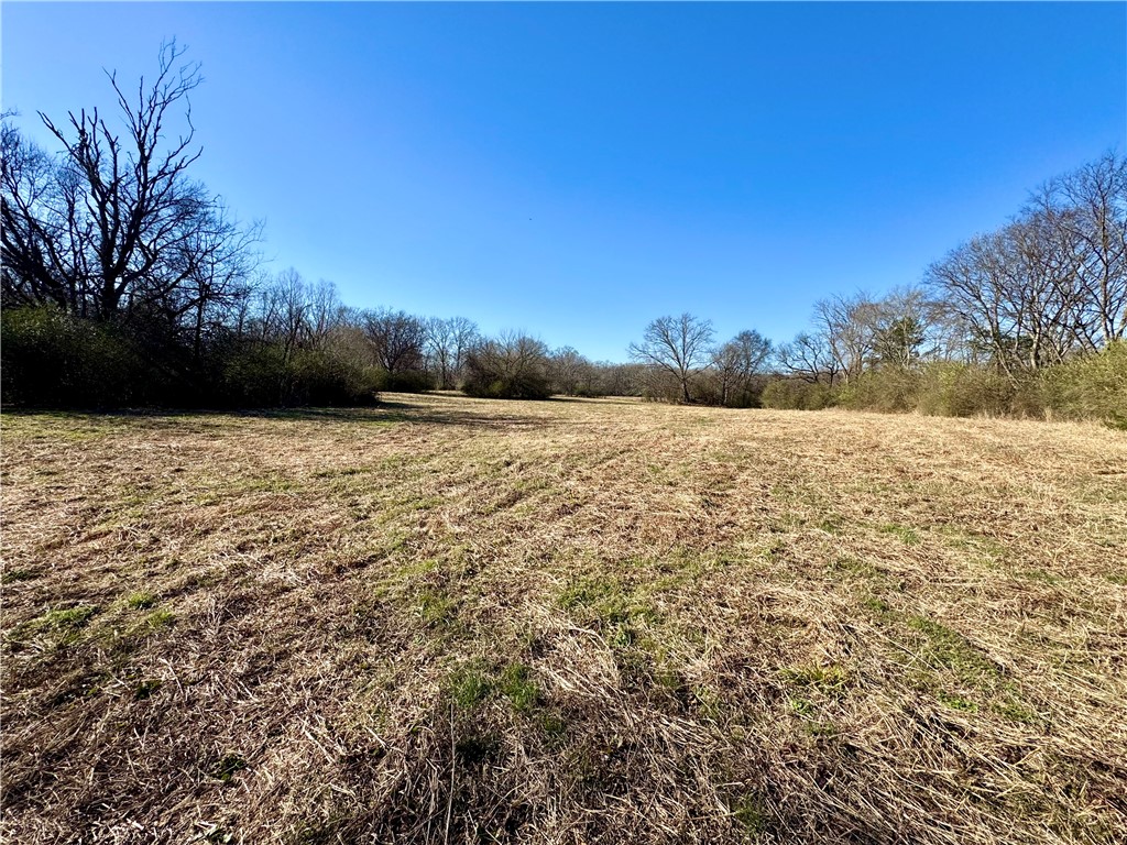 Tbd Fourche River Road Parks, AR 72950 - Photo 9 of 14 View of grassy yard with a view of rural / pastoral area