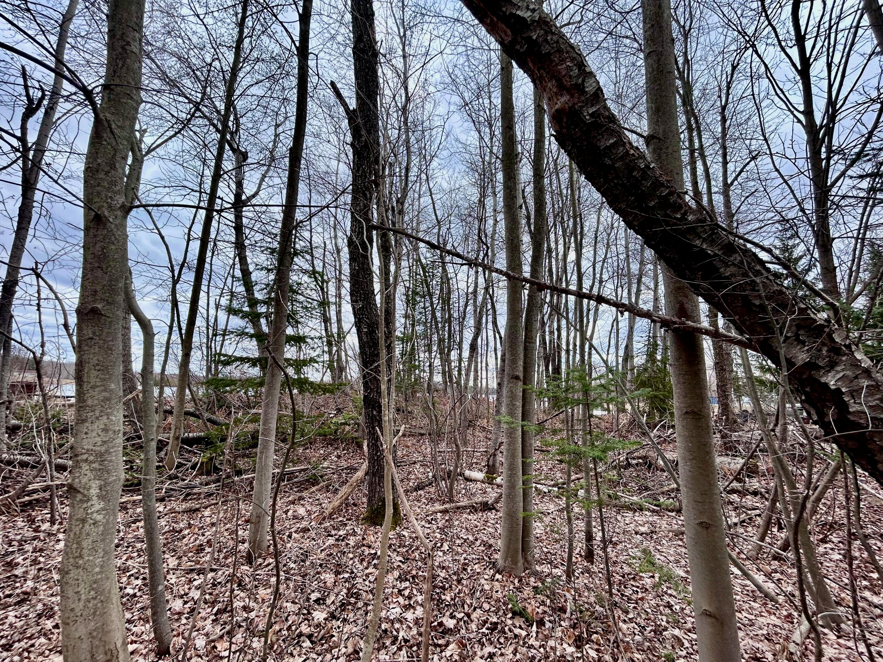 3285 Wurm Road Wolverine, MI 49799 - Photo 14 of 16 Gallery Image 14
