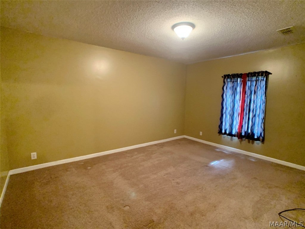 4178 Mitchell Road Hartford, AL 36344 - Photo 9 of 33 Gallery Image 9