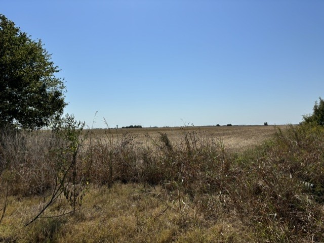 R019628 Old Georgetown Road Taylor, TX 76574 - Photo 6 of 7 a view of a dry yard with trees