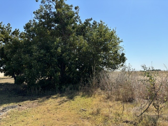 R019628 Old Georgetown Road Taylor, TX 76574 - Photo 7 of 7 a view of a yard