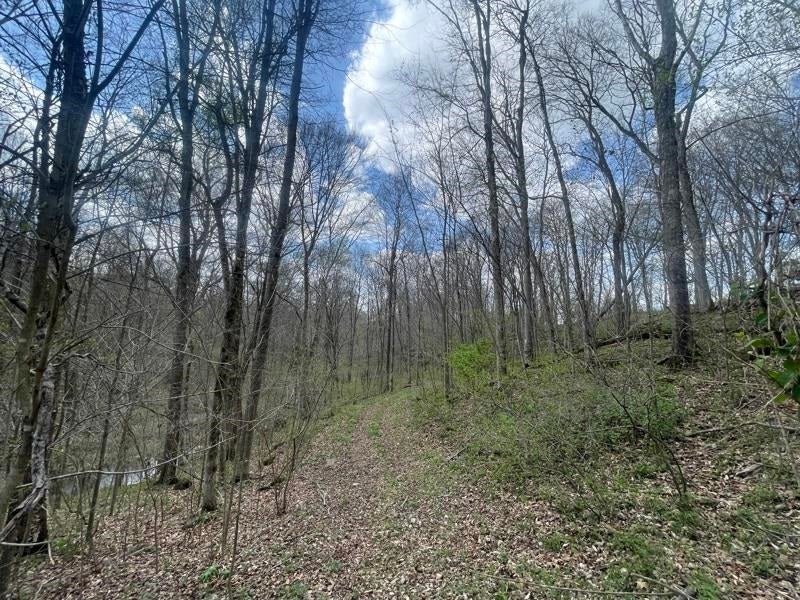 2375 Antioch Church Road Alvaton, KY 42122 - Photo 17 of 26 Gallery Image 17