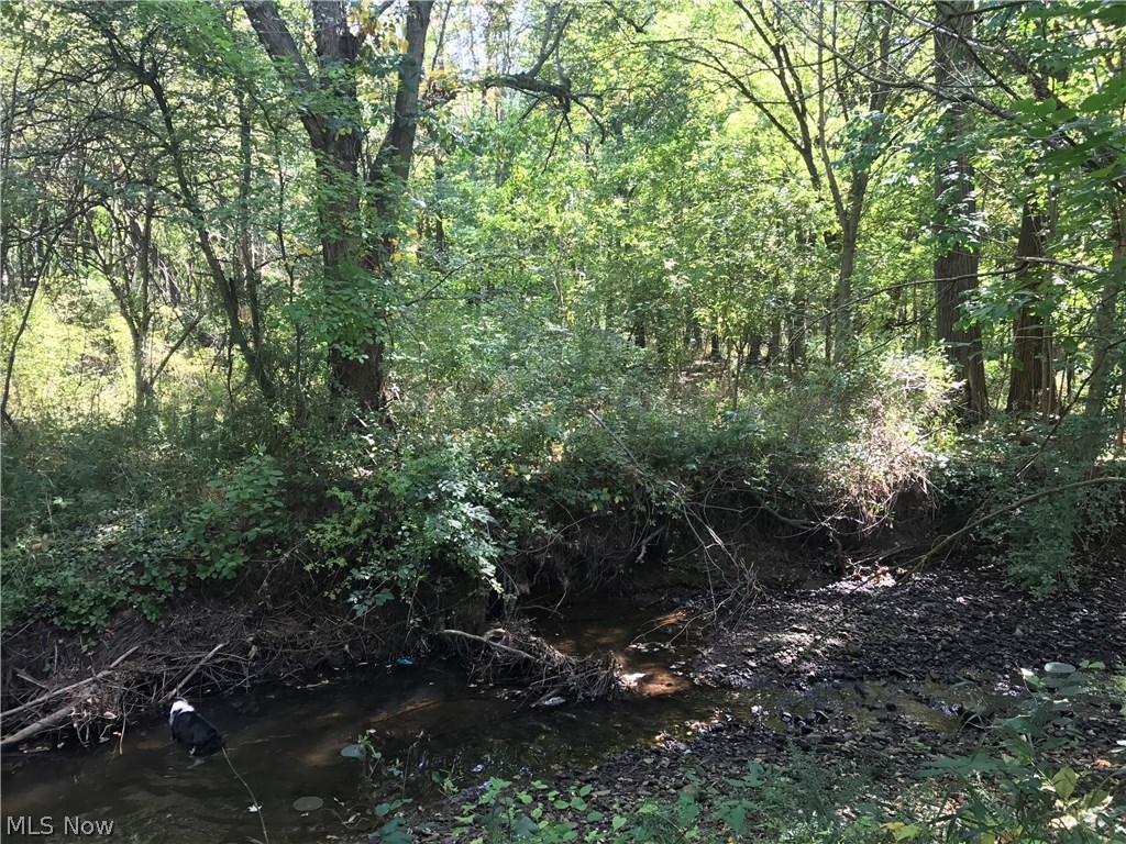 4199 Mayfair Road Uniontown, OH 44685 - Photo 17 of 22 Creek that runs through the property