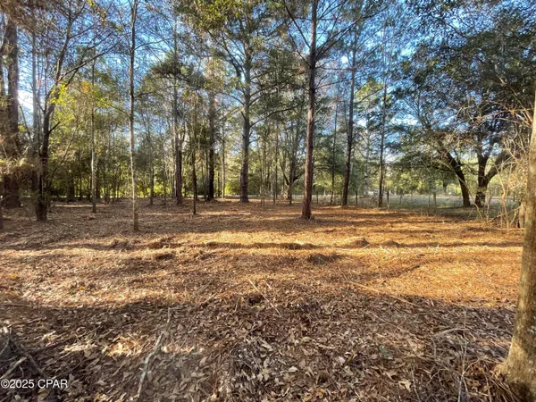 $18,500 | 1555 Highway 177A, Bonifay, FL 32425