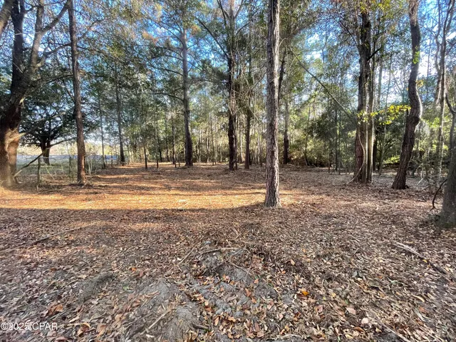 $18,500 | 1555 Highway 177A, Bonifay, FL 32425