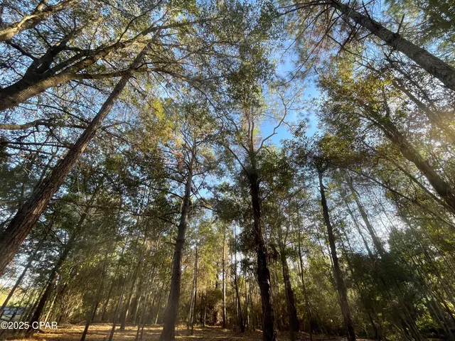 $18,500 | 1555 Highway 177A, Bonifay, FL 32425