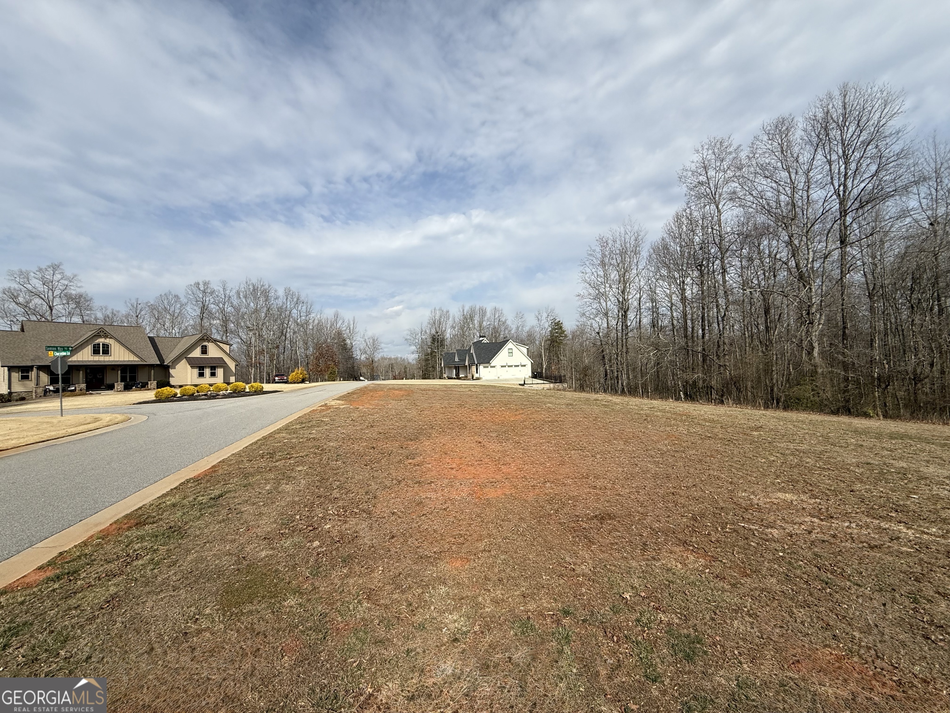 0 Samson Way Cleveland, GA 30528 - Photo 5 of 6 a view of road and trees
