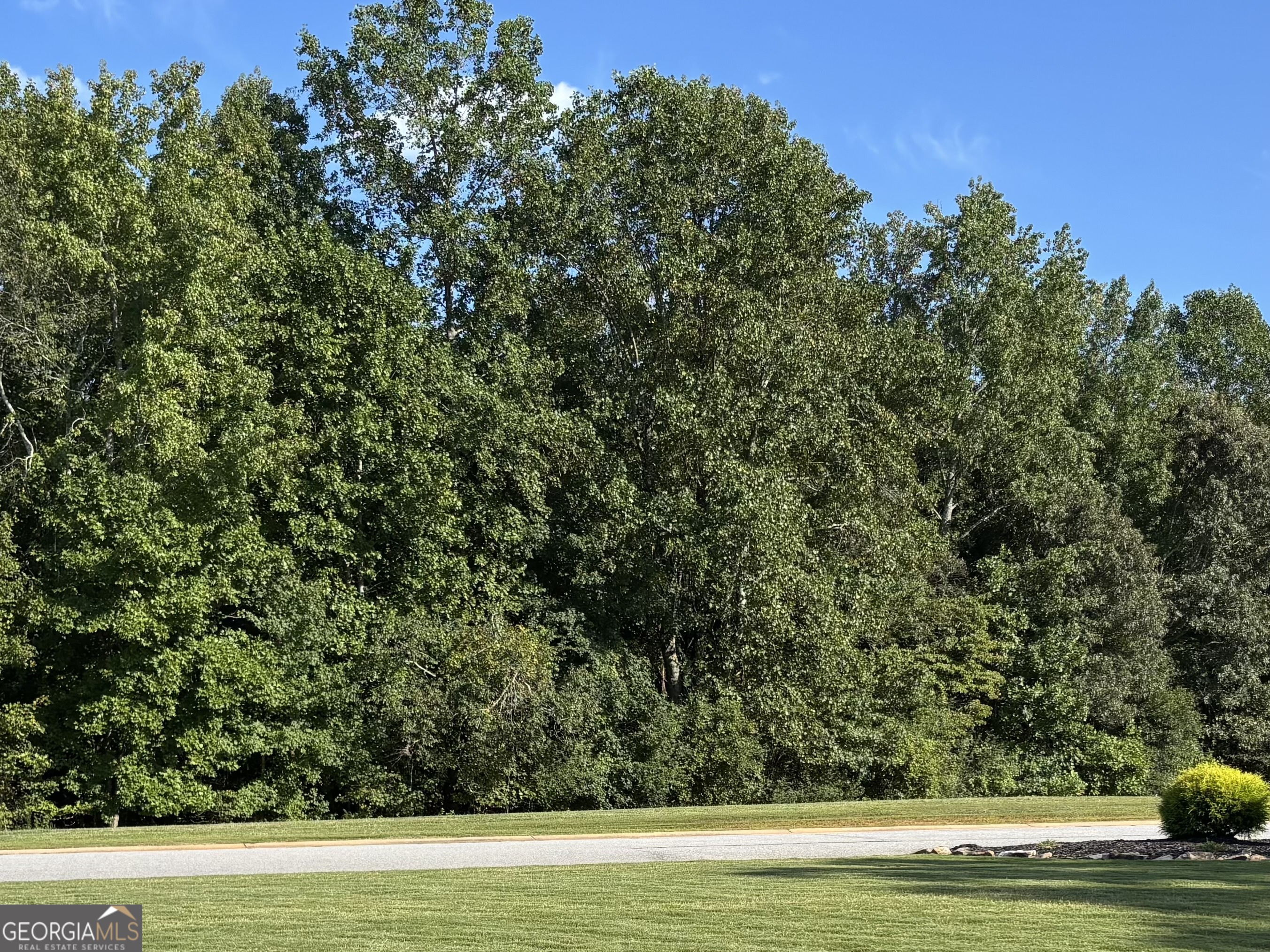 0 Samson Way Cleveland, GA 30528 - Photo 6 of 6 a view of a big yard with large trees