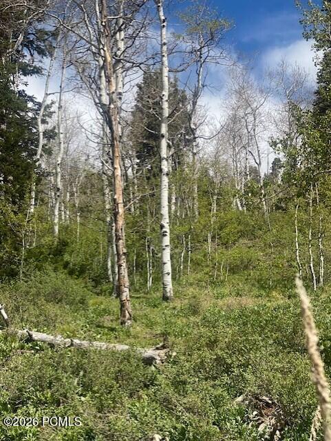 1798 West Alexander Canyon Road Coalville, UT 84017 - Photo 10 of 13