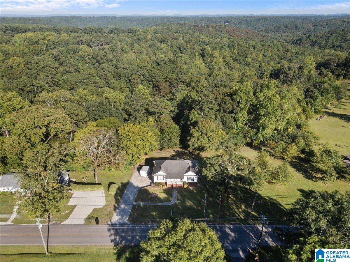 3641 Mt Olive Road Mount Olive, AL 35117 - Photo 28 of 35