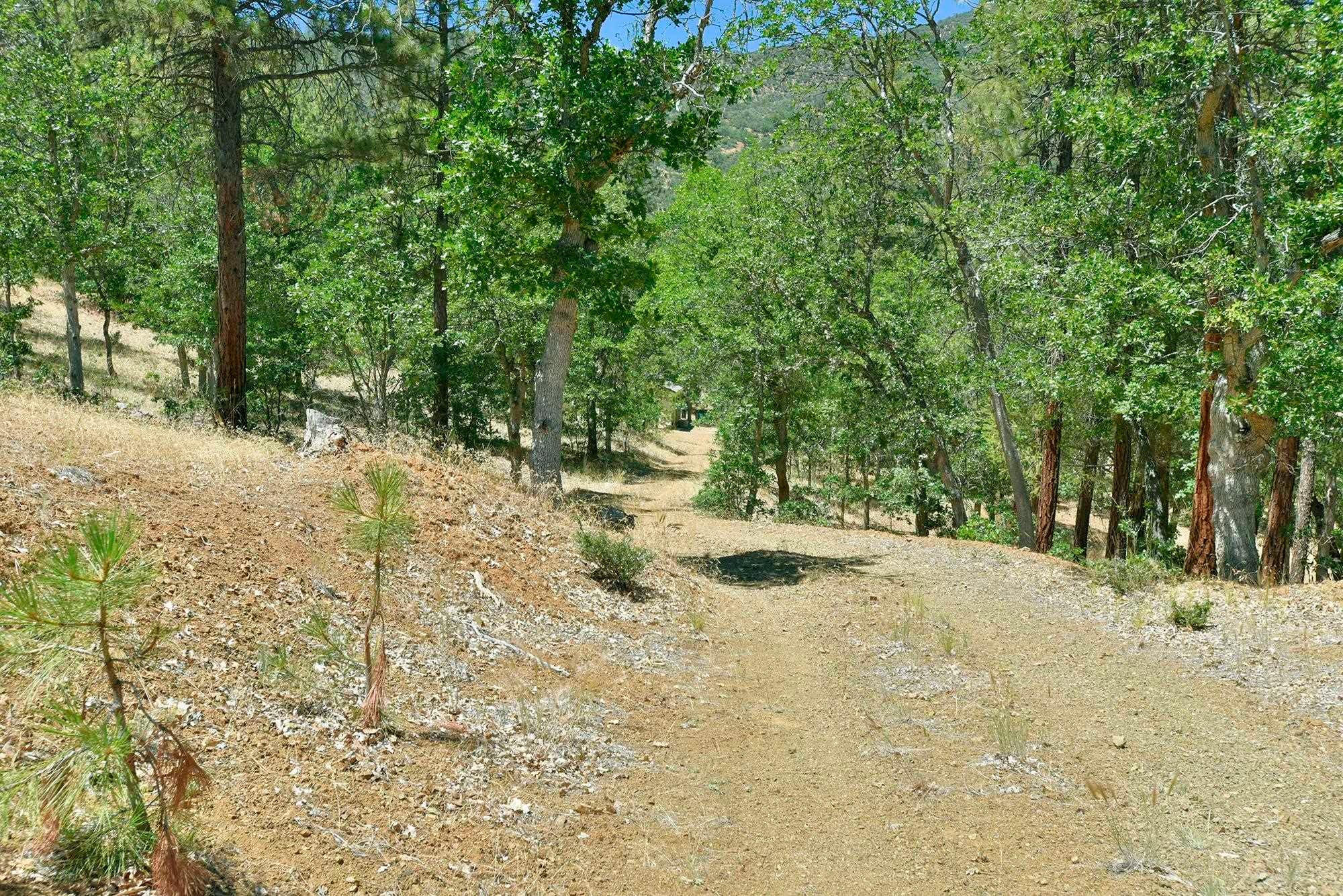 5524 Scott River Road Fort Jones, CA 96032 - Photo 46 of 50 Gallery Image 46
