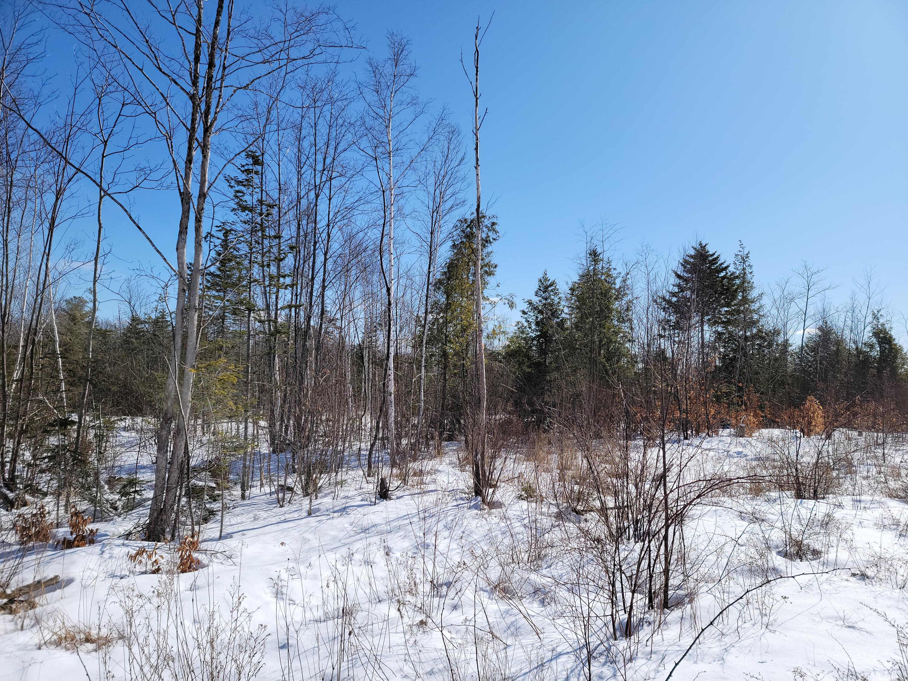 M3-l12 Cornell Road Medway, ME 04460 - Photo 12 of 13 20220228_105518