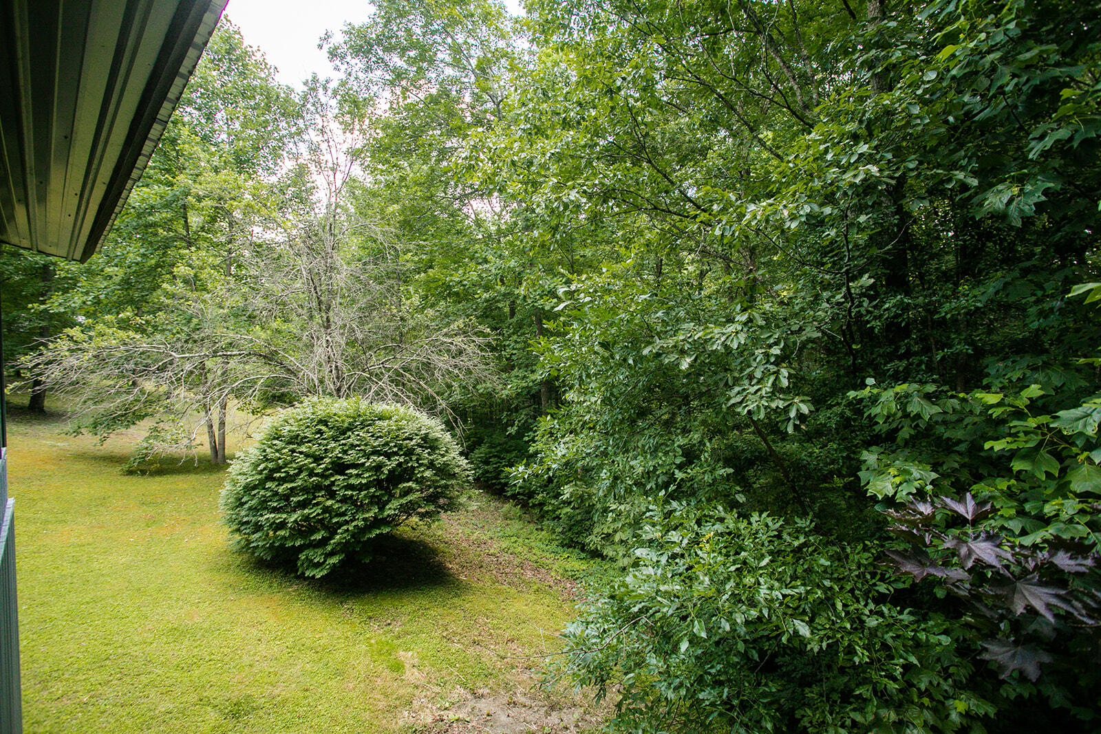 176 Pond Circle Road Wellington, KY 40387 - Photo 28 of 44 8G1A9986