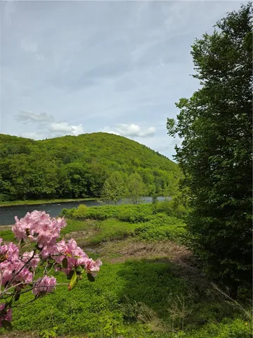 $455,000 | 455 Peas Eddy Road, Hancock, NY 13783