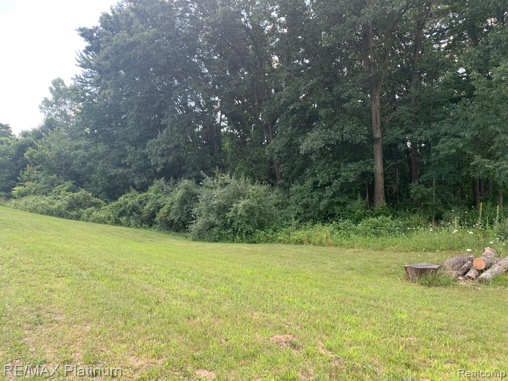 21763 Raspberry Ridge Pinckney, MI 48169 - Photo 3 of 4