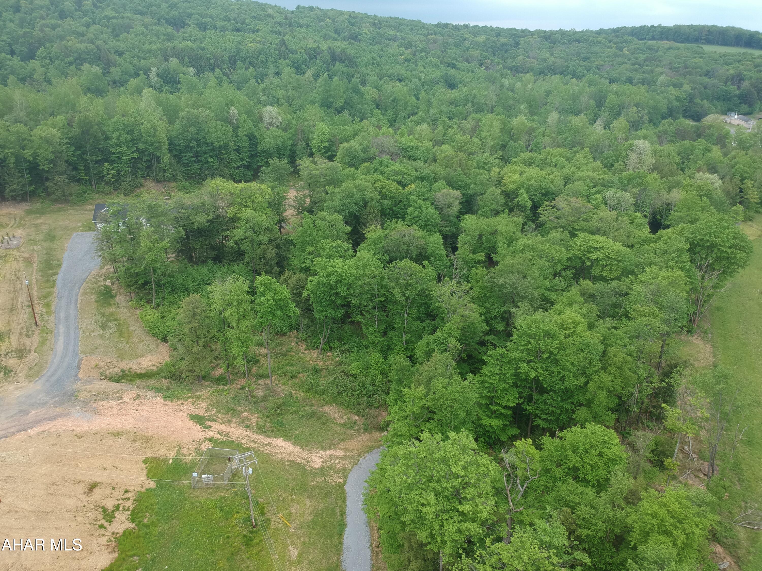 0 Bear Rock Road Ashville, PA 16613 - Photo 1 of 6