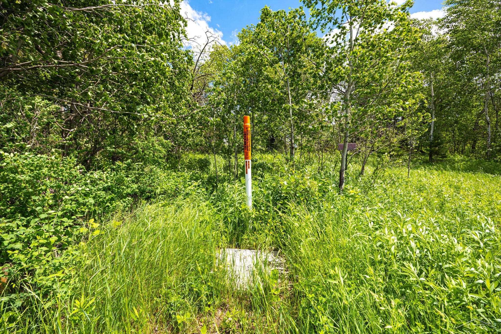 25615 Leo S Road Watton, MI 49970 - Photo 72 of 72