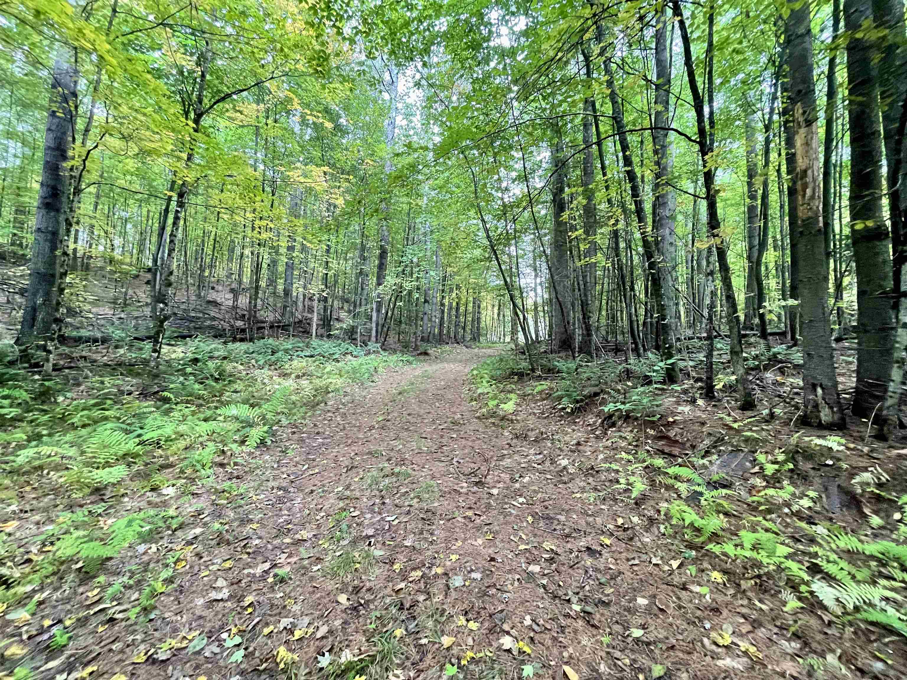 507 Cheney 4-Corner Road Newbury, VT 05040 - Photo 6 of 23