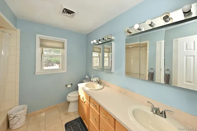 a bathroom with a sink a toilet and mirror