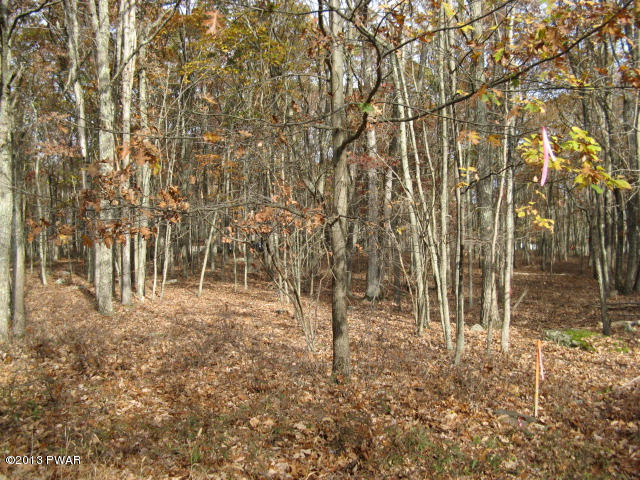 Robin Way Lackawaxen, PA 18435 - Photo 4 of 23