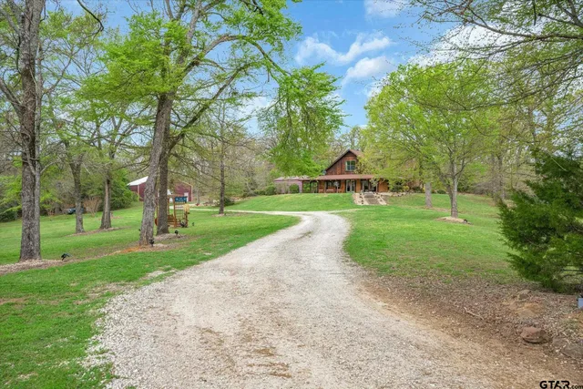 a view of a park with large trees